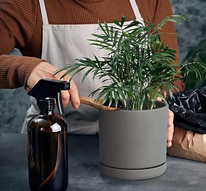 D'vine Dev 6 Inch & 8 Inch Ceramic Planter Pots for Plants with Drainage Hole and Saucer, Medium Plant Pots Set, Grey, 94-G-M-3 by GreenHaven Gardens