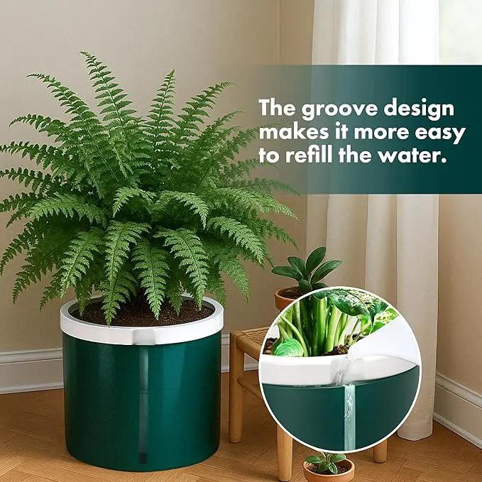 D'vine Dev 10 Inch Design Self Watering Planter for Indoor Plants, White Terracotta Pot with Teal Cylinder Glass Cup, 37-X-D-5 by GreenHaven Gardens