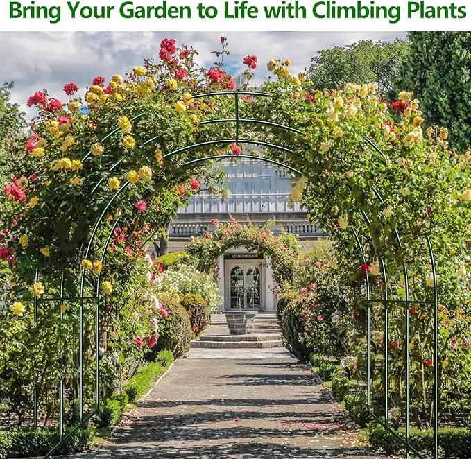 Large Garden Support Arch Frame for Climbing Plants, 9.85 x 7.05 x 7.22 ft Heavy Duty Plant Climbing Arbor Arch, Multi-Purpose Support Frame for Vines, Weddings & Backyard Decoration by GreenHaven Gardens