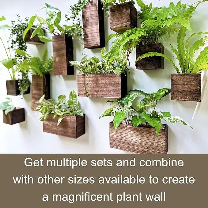 LaLaGreen Wood Planter Box for Plants (4 Pack) Wooden Hanging Wall Planters for Indoor Plant Holder Vase for Dried Flowers, Modern Living Room Bedroom Kitchen Home Office Decor by GreenHaven Gardens