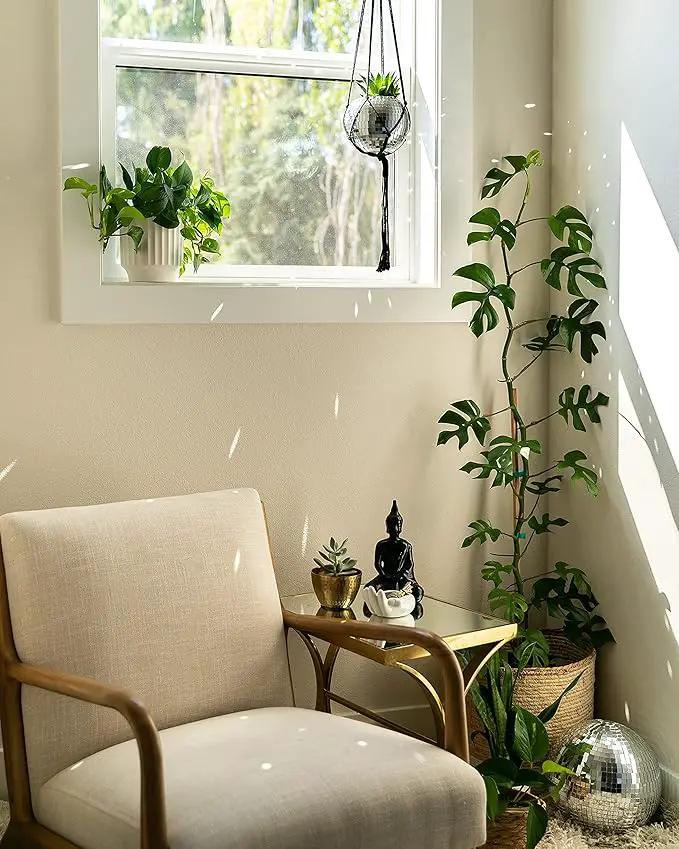 Hanging Disco Ball Planter 8" - with Acrylic Stand and Macrame Plant Hanger - Home Décor, Room Décor, Mirror Disco Planter, Disco Decor (6" with Black Hanger, Flat Base) by GreenHaven Gardens