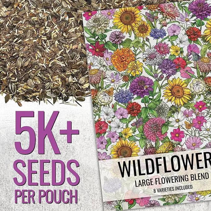 Seed Needs Garden Flower Seeds Large Blooms Mix Hummingbird and Butterfly | 5 Packs (1 Ounce Each) No Filler 7 Varieties Open Pollinated | Resealable Package Live Wild Flower Seed | Bulk by GreenHaven Gardens
