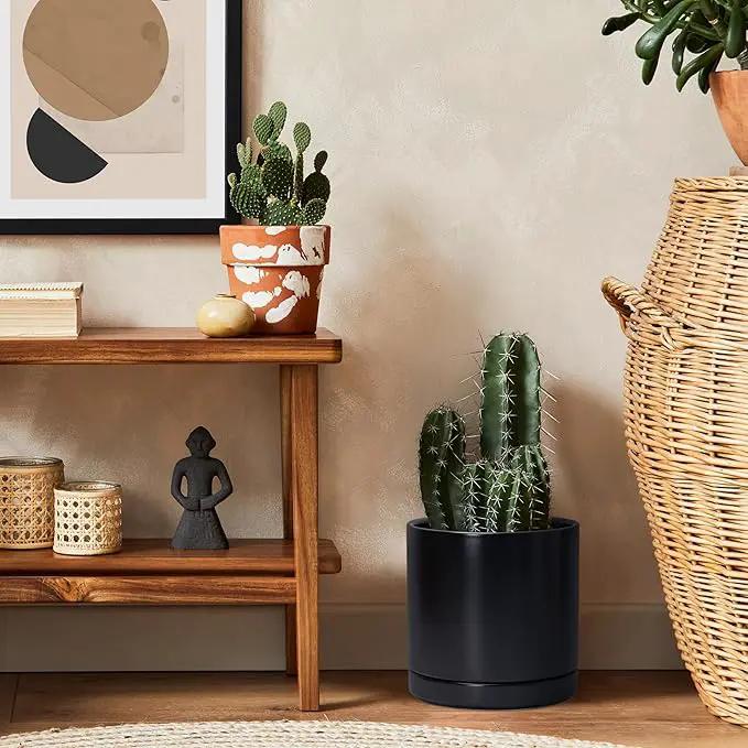 D'vine Dev 8 Inch Ceramic Planter Pot with Drainage Hole and Saucer, Indoor Cylinder Round Planter Pot, Black, 94-O-D-2 by GreenHaven Gardens