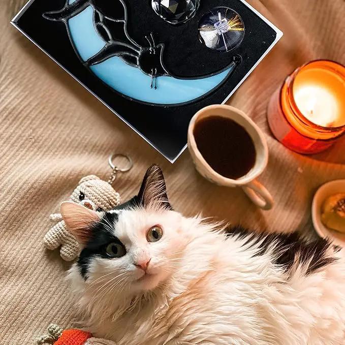 Black Cat Decor On Blue Moon Stained Glass for Window, Crystals Suncatchers for Window Ball Prism Rainbow Maker Chain Easy Hanging, 2 Balls and 1 White Gift Boxe for Cat Lovers Halloween Decor by GreenHaven Gardens