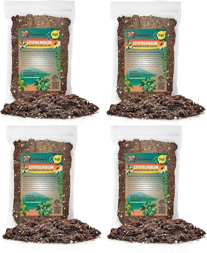 Epipremnum Potting Mix - Unlock Robust Growth and Gorgeous Foliage with Our High-Performance Formula - 20 Quart by GreenHaven Gardens