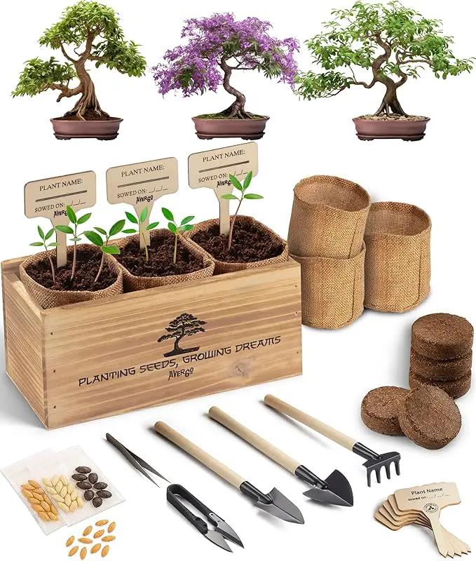 Bonsai Tree Kit – 3X Unique Japanese Bonzai Trees | Complete Indoor Starter Kit for Growing Bonsai Plants with Tools & Planters – Gardening Gifts for Women & Men by GreenHaven Gardens
