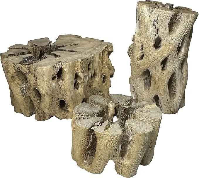 3 Natural Cholla Wood Air Plant Display Holders Tiered 1, 2 & 3 inch Individually Unique Round Decorative Stands by GreenHaven Gardens