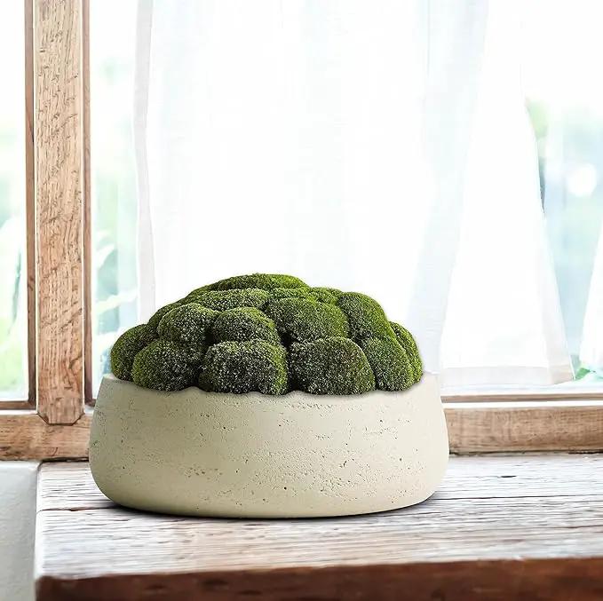 Olly & Rose Large Ceramic Planter Bowl Shallow Plant Pot - Off White Cream Ivory Flower Pot Indoor and Outdoor Decorative Bowl Garden and Home Décor by GreenHaven Gardens