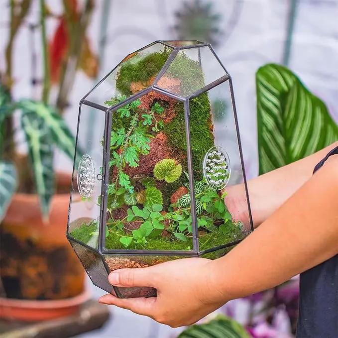 NCYP Closed Geometric Glass Enclosure with Front Opening Door & 2 Vent Holes for Insects, Succulent, Cacti - 7.9"x6.9"x9.8" Black Irregular Terrarium Planter - Home Garden Tabletop Decor (No Plants) by GreenHaven Gardens