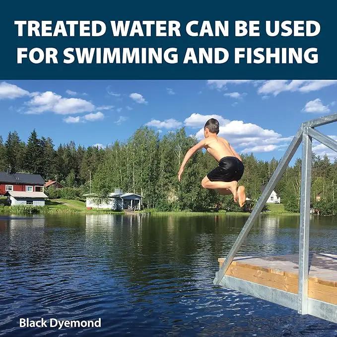 Airmax Pond Dye Packets Black DyeMond Colorant for Large Pond & Lake, Beneficial UV Blocking Color Concentrate, Maintain Clean & Clear Pond, Fish, Bird & Animal Safe, Easy Treatment, 2 Soluble Packets by GreenHaven Gardens