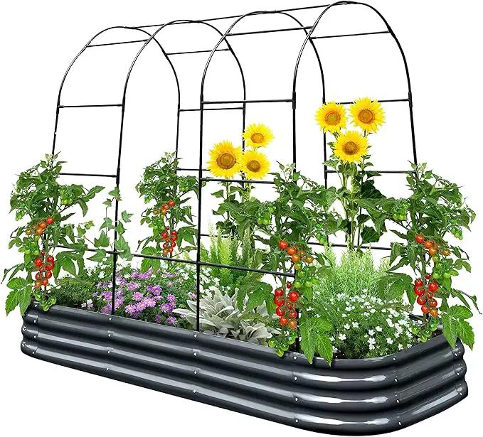 KING BIRD Raised Garden Bed with Arched Trellis Galvanized Planter Garden Box Outdoor for Gardening, Climbing Vegetables, Flowers 7.87x3.94x0.98 Ft, Dark Grey by GreenHaven Gardens