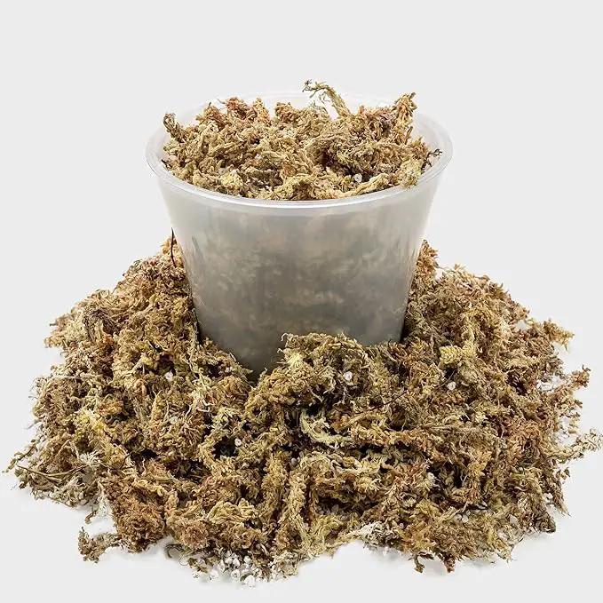 Sphagnum Moss Potting Mix for Carnivorous Plants, Moss and Perlite Blend for Potting Venus Fly Traps, Sarracenia, Pitcher Plants - 75% Sphagnum Moss + 25% Perlite - Made in USA - 4 Quart