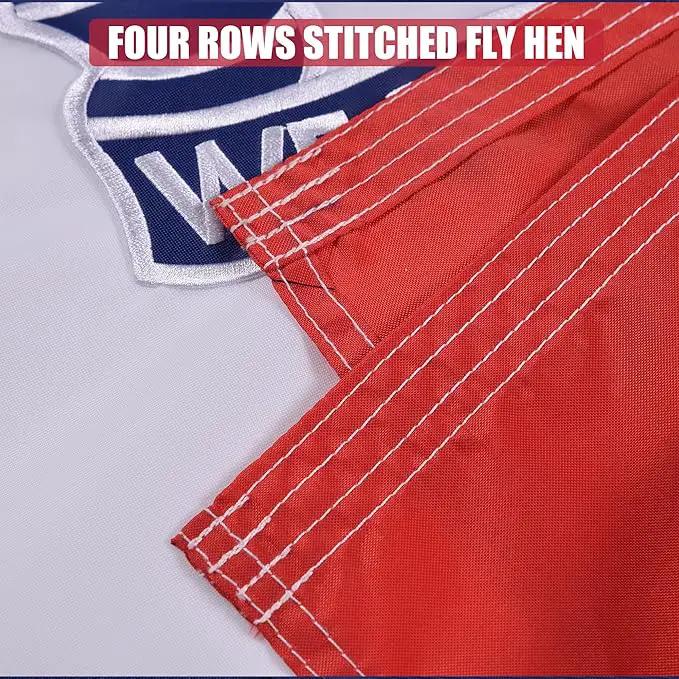 Iowa State Flag 3x5 Ft, Deluxe Full Embroidered Heavy Duty Nylon Durable IA Outside Flags, Indoor/Outdoor, Sewn Stripes and Brass Grommets by GreenHaven Gardens