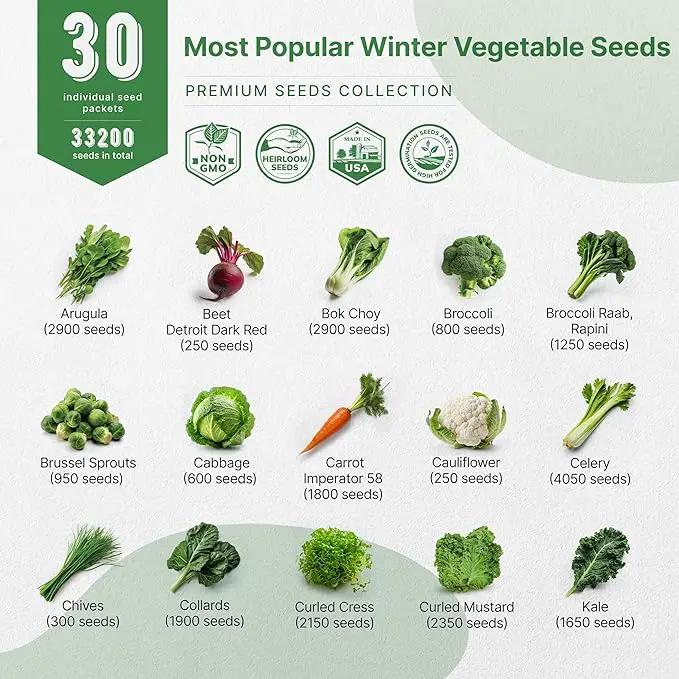 Organo Republic 30 Most Popular Winter Vegetable Garden Seeds Variety Pack- Outdoors/Indoor 8300+ Non-GMO Heirloom Veggie Seeds Broccoli Beet Carrot Cabbage Chives Lettuce Radish Pea Spinach & More by GreenHaven Gardens
