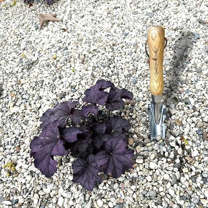 Garden Guru Hand Weeder Trowel with Ergonomic Handle – Stainless Steel Weeding & Digging Knife – Rust Resistant - Perfect for Weeding, Transplanting, Digging, Pruning, Cutting by GreenHaven Gardens