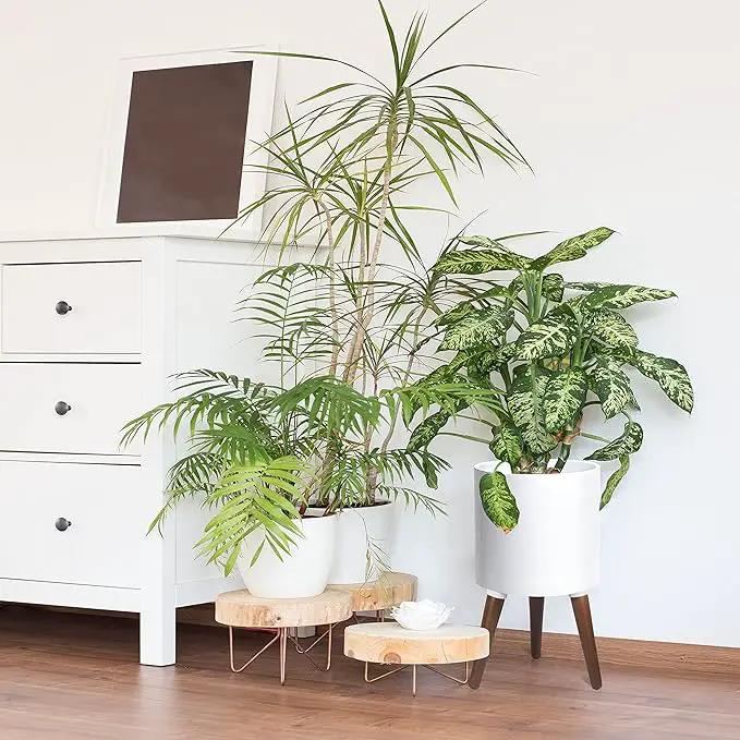 D'vine Dev 10 Inch Planter Pot with Stand, Mid-Century Tall Plant Pot with Legs for Indoor Plants, Medium, White, 88-O-B-1 by GreenHaven Gardens