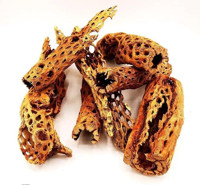 Natural Cholla Wood Chunk Large Air Plant Display Holders Individually Unique Decorative Stands or Holder (Cholla Chunk Extra Large) by GreenHaven Gardens