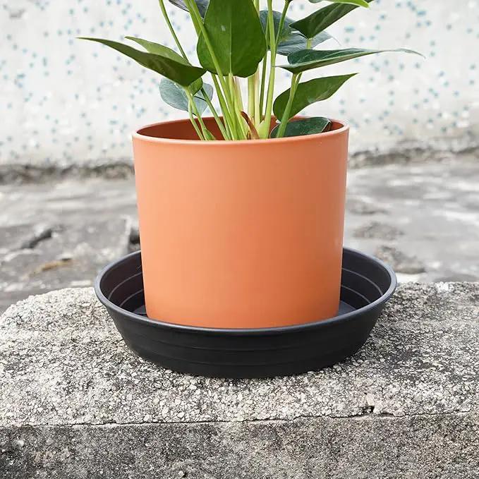 4 Packs 6 Inches Plant Saucer Drip Trays, Round Plastic Plant Pot Saucers Flower Pot Tray for Indoor Outdoor by GreenHaven Gardens