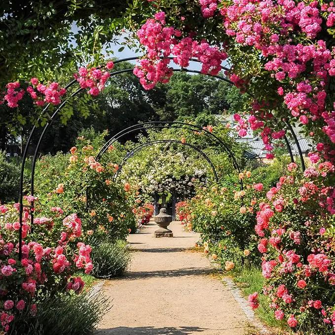 RUBFAC Metal Garden Arch, Wedding & Event Decoration, Garden Trellis for Climbing Plants, Assemble Freely 2 Sizes for Various Climbing Plant Roses Vines Bridal Party Decoration, Black, 1 Pack by GreenHaven Gardens