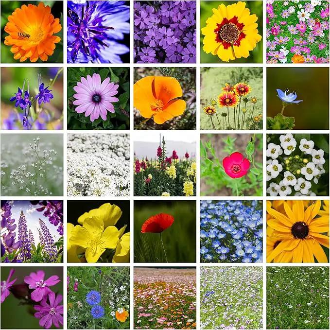All Annual Wildflower Mix Seed for Planting - 1 Lb ~16,000+ Seeds - 21 Varieties Including California Poppy, Indian Blanket, Scarlet Flax, & More - Attracts Pollinators - Bulk Wildflower Seeds by GreenHaven Gardens