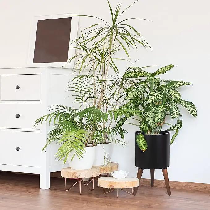 D'vine Dev 10 Inch Planter Pot with Stand, Mid-Century Tall Plant Pot with Legs for Indoor Plants, Medium, Black, 88-O-B-2 by GreenHaven Gardens
