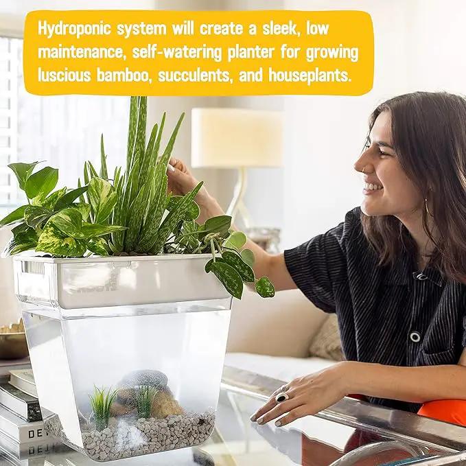Back to the Roots Indoor Hydroponic Garden - 3 Gallon Self Watering, Mess-Free Planter for Herbs, Microgreens, Bamboo, Succulents, and Houseplants, Green by GreenHaven Gardens