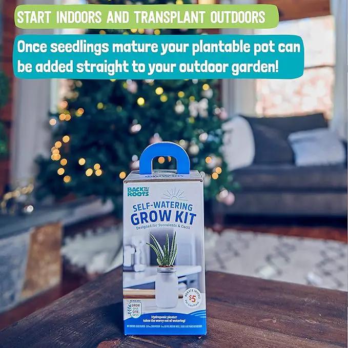 Back to the Roots Self Watering Grow Kit - Glass Hydroponic Planters for Succulents and Cacti Self-Watering System by GreenHaven Gardens