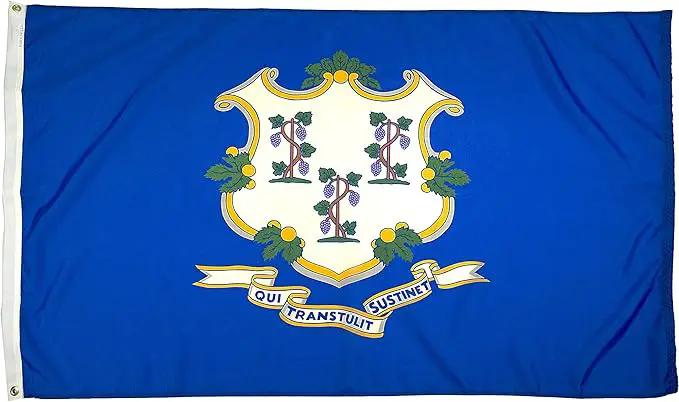 FlagSource Connecticut Nylon State Flag, Made in the USA, 3x5' by GreenHaven Gardens
