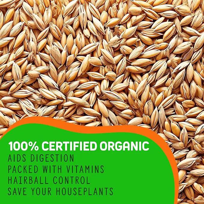 Organic Cat Grass Premium Grow Kit 4 Pack | Non GMO Mixed Heirloom Seeds | Wheatgrass - Oat Grass - Barley Grass Blend by GreenHaven Gardens