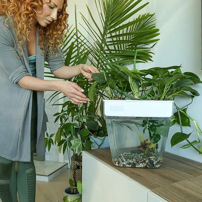 Back to the Roots Indoor Hydroponic Garden - 3 Gallon Self Watering, Mess-Free Planter for Herbs, Microgreens, Bamboo, Succulents, and Houseplants, Green by GreenHaven Gardens