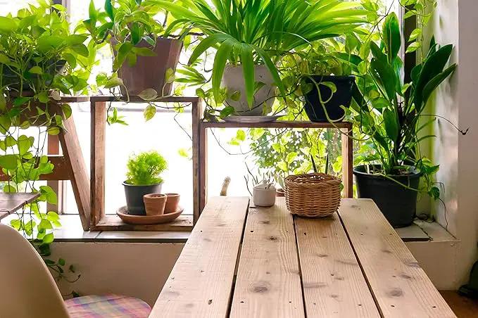 Indoor Plant Food | All-purpose House Plant Fertilizer | Liquid Common Houseplant Fertilizers for Potted Planting Soil | by Aquatic Arts by GreenHaven Gardens