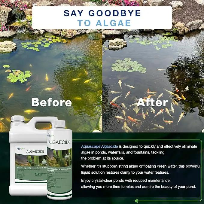Aquascape 96022 Algaecide for Pond, Waterfall, and Water Features, 8-Ounce by GreenHaven Gardens