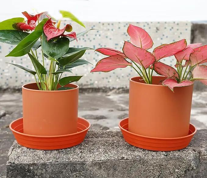 Plant Saucer 14 Inch 4 Pack 6 8 10 12 14 16 18 20 25, Plastic Plant Trays for Pots，Extra-Deep Plant Water Dray Tray, Bird Bath Bowl, Heavy Flower Plant Saucers Indoors and Outdoor No Holes by GreenHaven Gardens