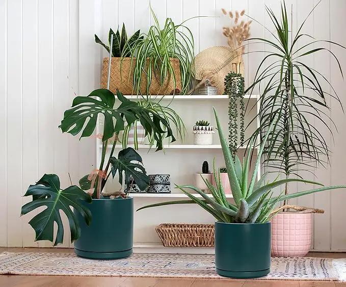 D'vine Dev 8 Inch & 10 Inch Ceramic Planter Pot for Plants with Drainage Hole and Saucer, Large Plant Pots Set, Teal, 94-G-L-9 by GreenHaven Gardens