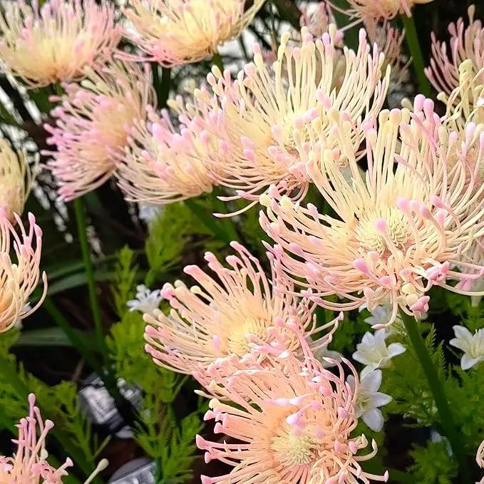 Solar Flower Lights for Garden Decor, 4Pack Pink Flowers with Green Stems, Solar Panel and Stake, Waterproof Solar Plant Lights for Outdoor Yard, Lawn, Path Decorations by GreenHaven Gardens