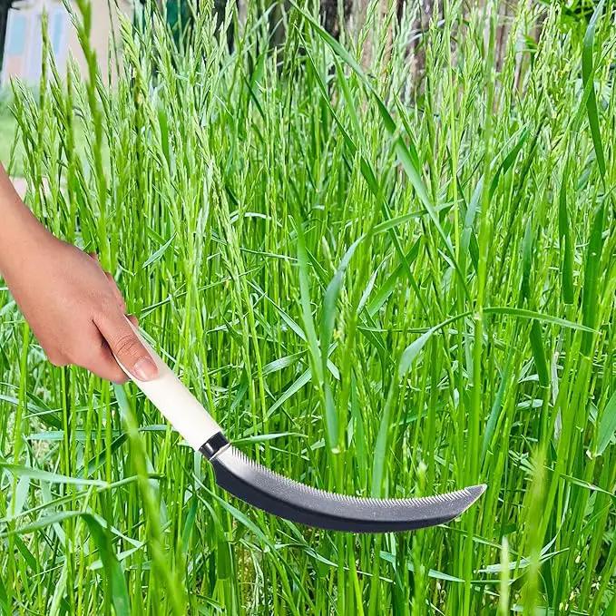 Sod Cutter Japanese Weeding Sickle, Japanese Weeding Tool with Sawtooth, Hand Sickle Weeding Tools for Garden, Hand Hoe Garden Tool, Light Serration, Stainless Steel Blade, Sharp by GreenHaven Gardens