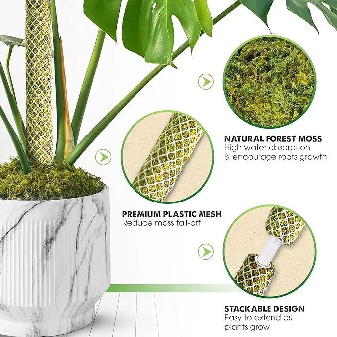 DUSPRO Stackable Mesh Moss Pole for Plants Monstera Potted Plant Stakes for Indoor Plants Extendable Plant Pole Moss Sticks for Plants Climbing Vine Supporting Monstera Trellis 2Pack 22'' by GreenHaven Gardens