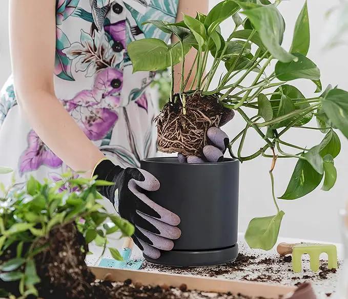 D'vine Dev Set of 2 Plants Pots, 6 Inch Ceramic Planter Pot for Plants with Drainage Hole and Saucer, Black, 94-V-C-2 by GreenHaven Gardens