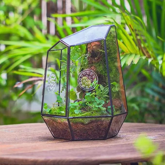 NCYP Closed Geometric Glass Enclosure with Front Opening Door & 2 Vent Holes for Insects, Succulent, Cacti - 7.9"x6.9"x9.8" Black Irregular Terrarium Planter - Home Garden Tabletop Decor (No Plants) by GreenHaven Gardens