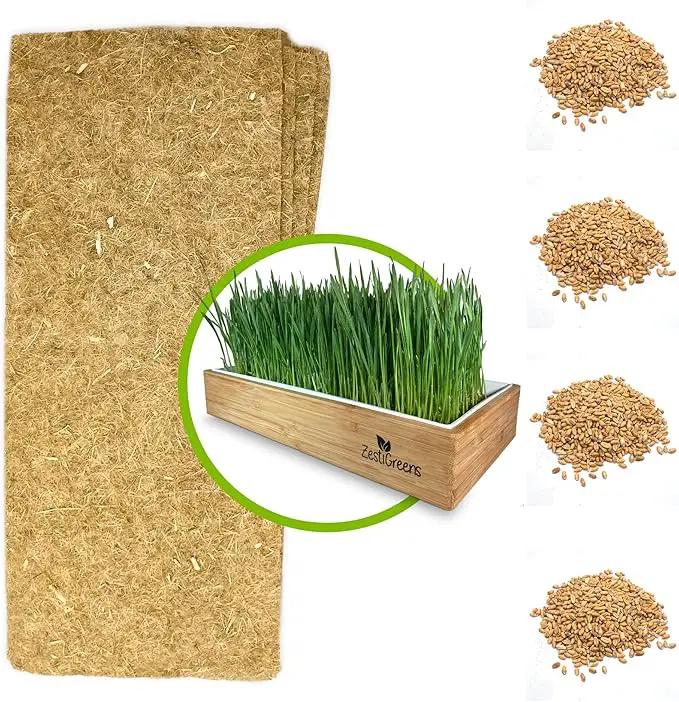 Cat Grass Refills for Self Watering Cat Grass Kit - 4 Mats and 4 Cat Grass Seed Packets (Cat Grass Refill Kit) by GreenHaven Gardens