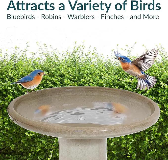 Sunnydaze 21" H Ceramic Bird Bath for Outside - Hand-Painted Outdoor Bird Bath Bowl, UV/Frost-Resistant Finish - Yam - Ribbed Pedestal by GreenHaven Gardens