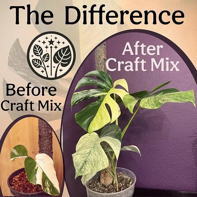 Craft Aroid Potting Mix- Elite Alocasia, Philodendron, Monstera Soil Mix, Chunky, Well Draining Potting Soil for Indoor Plants, All Tropical Plants & Houseplants, Synthetic & Peat Free 2QT by GreenHaven Gardens