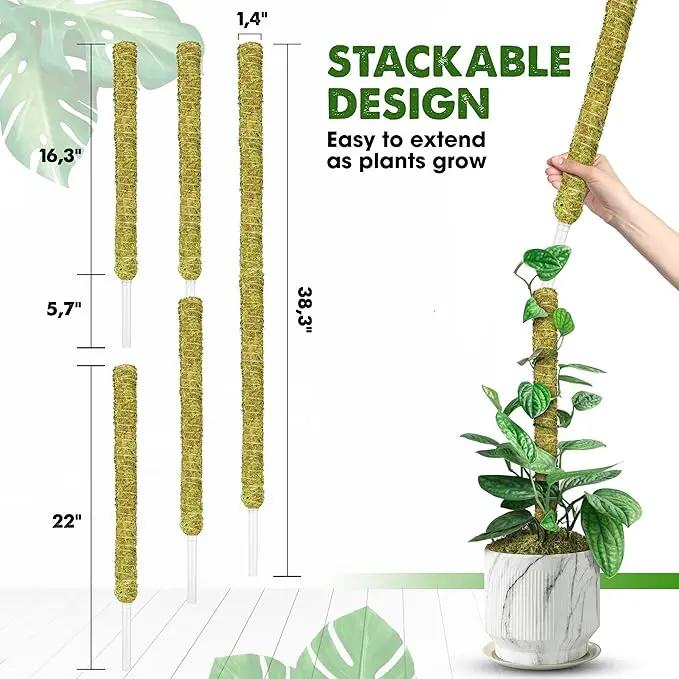 DUSPRO Natural Stackable Moss Pole for Plants Monstera, Forest Moss Sticks, Monstera Plant Support, Handmade Plant Stakes for Indoor Plants for Potted Plant to Grow Upward 02 pcs 22'' by GreenHaven Gardens