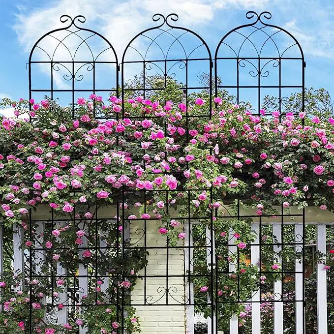 2 Pack Metal Garden Trellis for Climbing Plants 71" x 19.7" Outdoor Fence Rustproof Garden Trellis Support Roses Flower Lawn, Black 6FT by GreenHaven Gardens