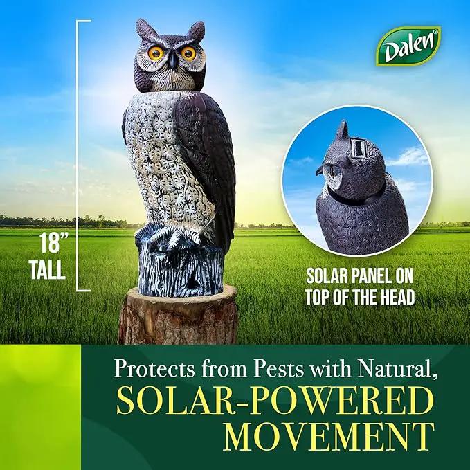 Dalen SOL-R Action Solar Fake Owl Decoy to Scare Birds Away from Gardens, Rooftops, and Patios - Safe and Humane, 18" 360º Rotating Head by GreenHaven Gardens