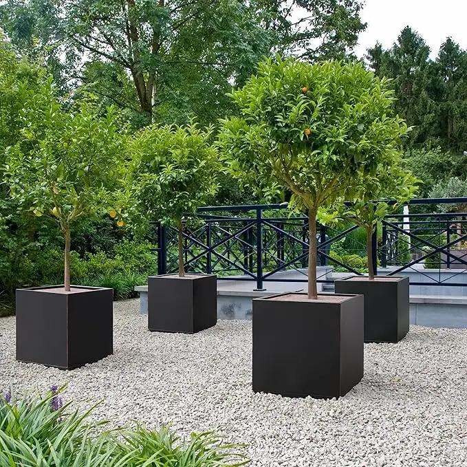 Metallic Heavy Cube Planter Box, No Assemble, Seamless Large Square Planter for Trees, Plants and Flowers 21”Lx21”Wx24”H 35Pounds Black with Hand Brushed Gold Rim by GreenHaven Gardens