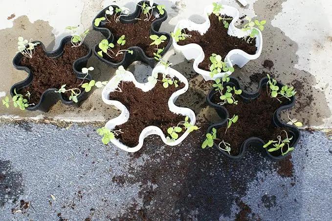 Mr. Stacky Multiple Color (Black + White) 5 Layer 13inch Vertical Planter by GreenHaven Gardens