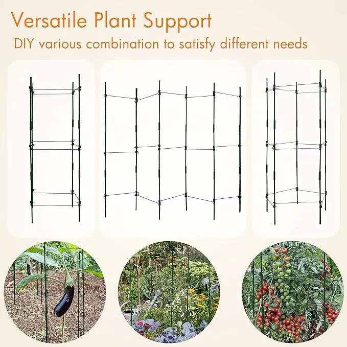 Gardzen Multi-use Tomato Cage Plants Support, Trellis Climbing Cage Stand for Pepper Eggplant Tomato Flowers by GreenHaven Gardens