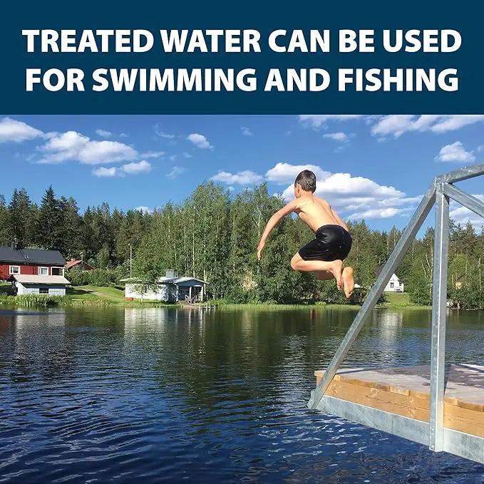 Airmax Twilight Blue Pond Dye 4X Concentrate for Outdoor Ponds & Lakes, Natural Pond Colorant & Beauty Enhancer, Block Ultraviolet Rays, Fish, Bird & Livestock Safe, Easy Liquid Application,1 Quart by GreenHaven Gardens