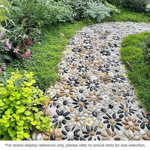 SIDONG 10 LB Mixed River Rocks, 0.3-0.5 Inches High Polished Pebbles for Indoor Plants, Aquarium Rocks Used in Fish Tank, Decorative Stones for Plants, Vases, Home Décor, Crafting, Garden Landscaping by GreenHaven Gardens